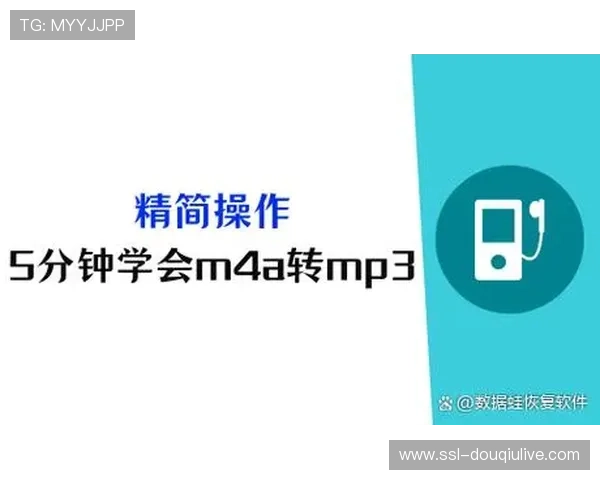 数字版权管理（DRM）系统升级，防止未授权传播