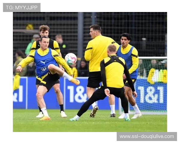 德甲开放训练日：球迷互动活动